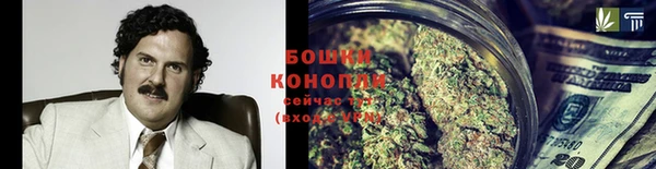 трава Новодвинск