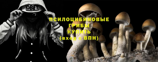 мдма Новозыбков