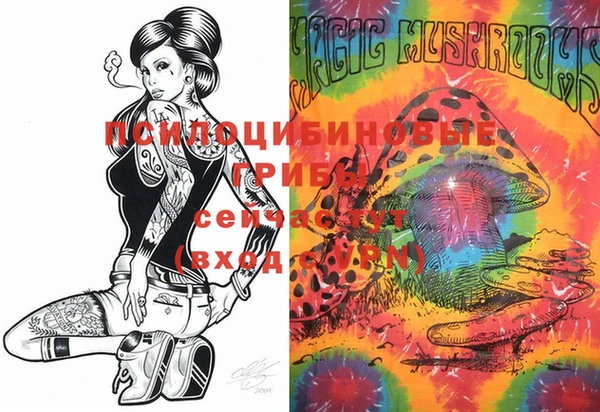 ECSTASY Нефтекумск