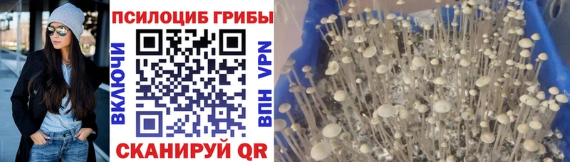 Псилоцибиновые грибы Magic Shrooms  мега ONION  Нижние Серги 